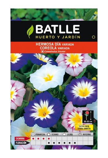 Semillas flores BATLLE SEMILLA DE HERMOSO DIA | Mundo Verde/Garden Center