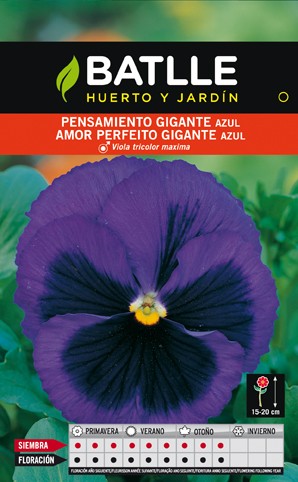 Semillas flores BATLLE SEMILLA DE PENSAMIENTO GIGANTE AZUL | Mundo  Verde/Garden Center
