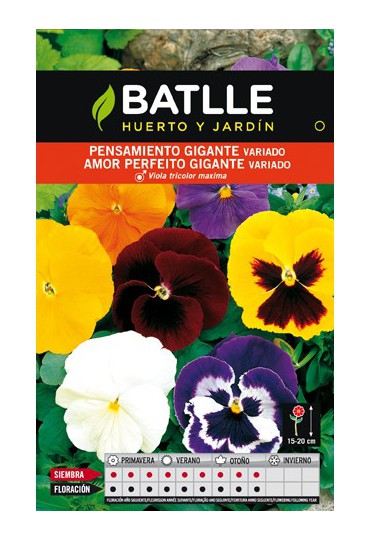 Semillas flores BATLLE SEMILLA DE PENSAMIENTO GIGANTE VARIADO | Mundo  Verde/Garden Center