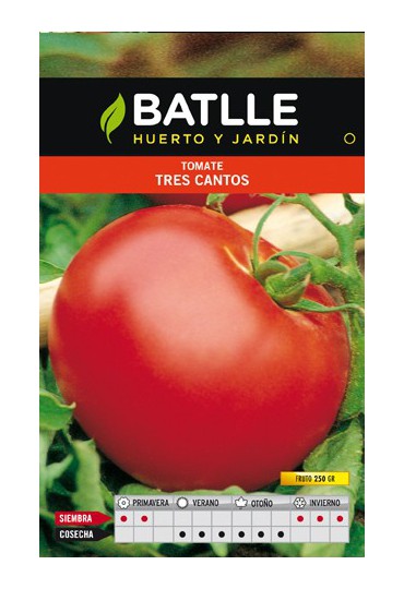 BATLLE TOMATE 3 CANTAS GIGANTE ROSA