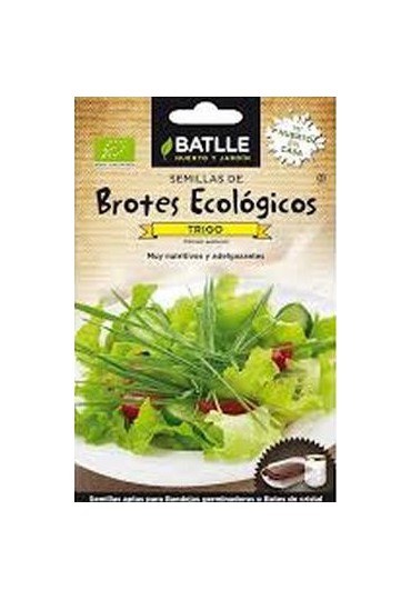 BATLLE BROTES  TRIGO - ECO