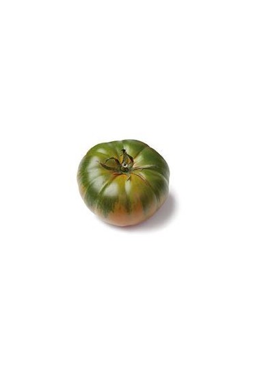 TOMATE MARMANDE RAF