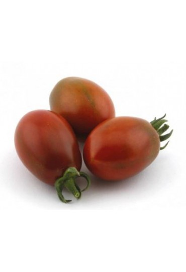 TOMATE MORENITO INJERTADO