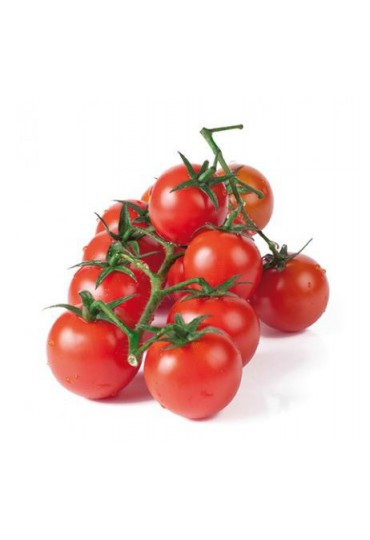 TOMATE CHERRY REDONDO