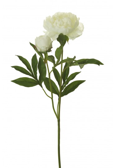 Flor y planta artificial suelta PEONIA ARTIFICIAL 79CM CREMA | Mundo Verde/Garden  Center