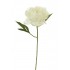 PEONIA ARTIFICIAL 30 CM CREMA