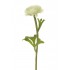 RANÚNCULUS ARTIFICIAL 40CM CREMA