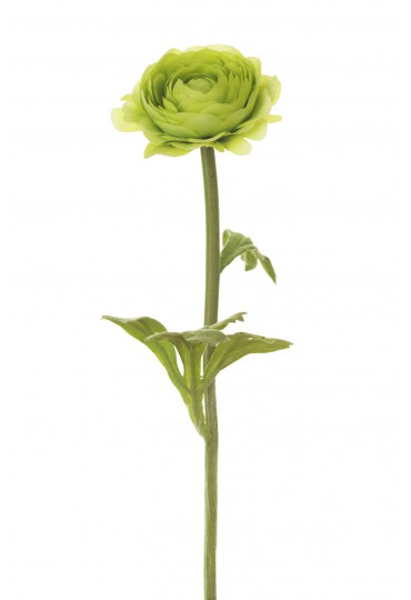 RANÚNCULUS ARTIFICIAL 40CM  VERDE