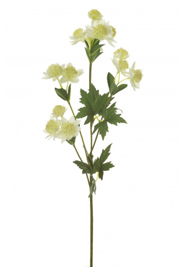 ASTRANTIA ARTIFICIAL 66CM CREMA