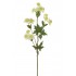 ASTRANTIA ARTIFICIAL 66CM CREMA