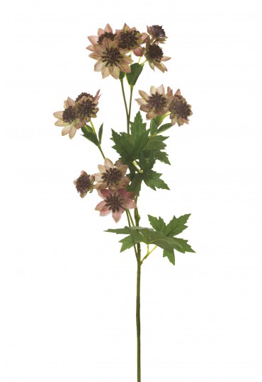 ASTRANTIA ARTIFICIAL 66CM ROSA