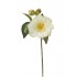 PICK CAMELIA ARTIFICIAL 15 CM BLANCO