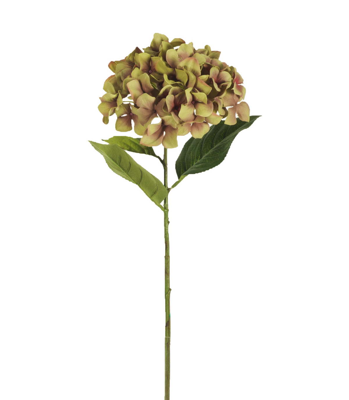 Flor y planta artificial suelta HORTENSIA ARTIFICIAL 68 CM VERDE | Mundo  Verde/Garden Center