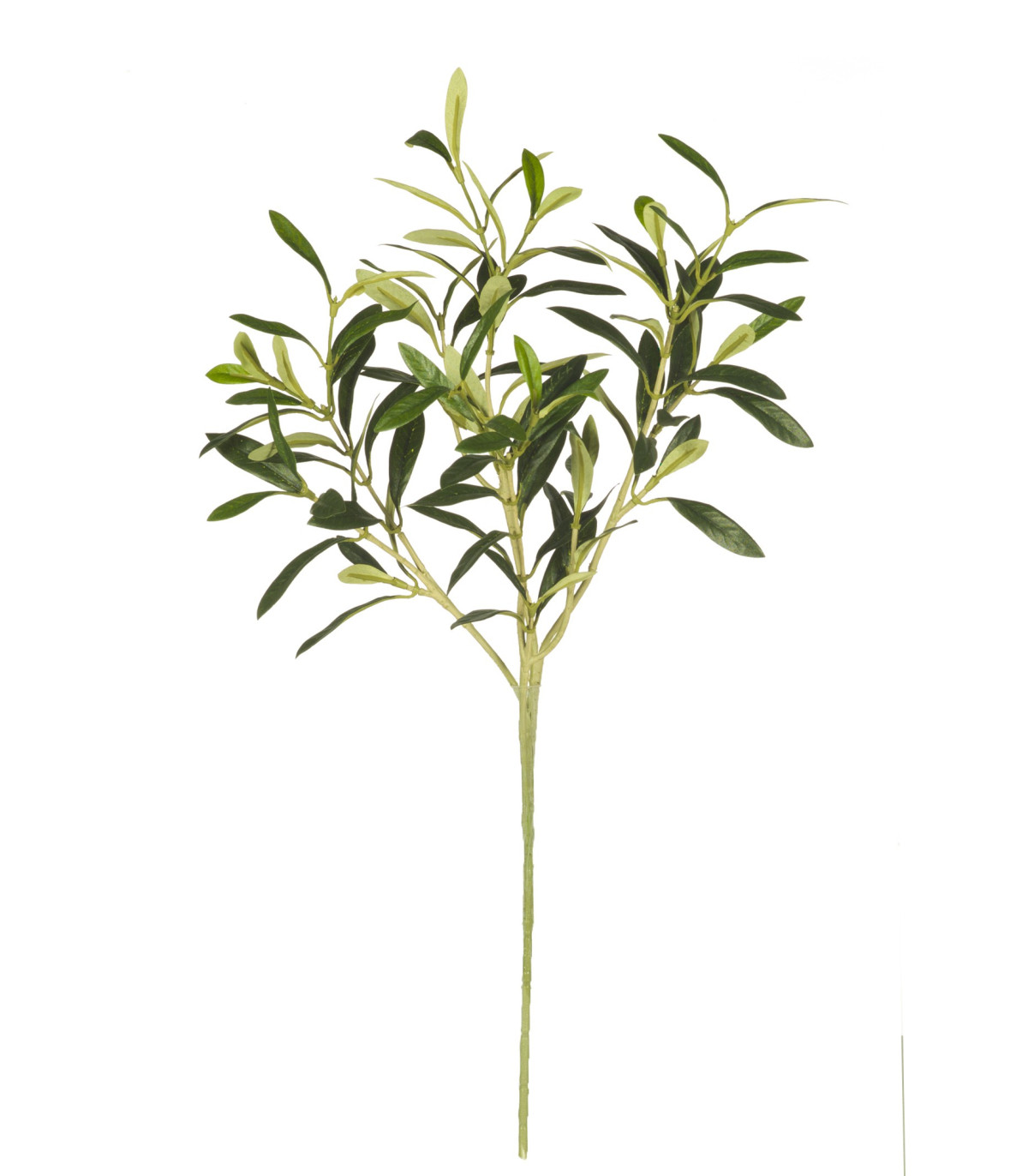 Paquete de 5 ramas de olivo, plantas artificiales, tallos verdes, hojas de  olivo, frutas falsas, plantas de seda