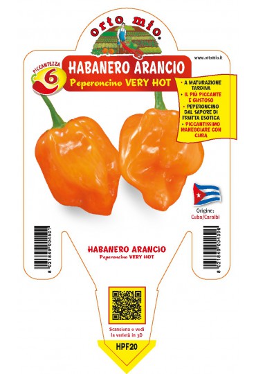 PIMIENTO HABANERO NARANJA