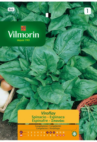 VILMORIN SEMILLAS DE ESPINACA VIROFLAY