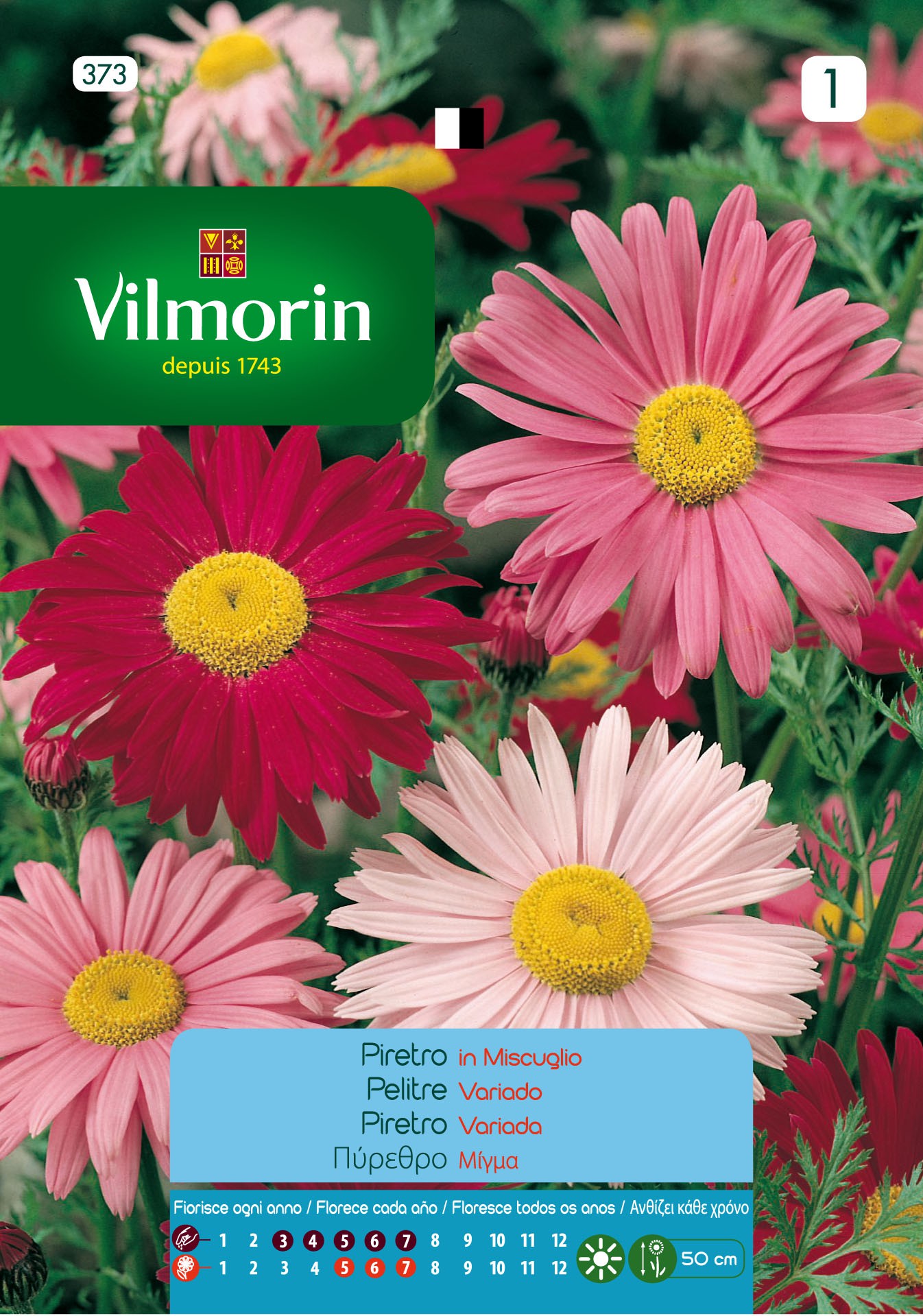 Semillas flores VILMORIN SEMILLAS PELITRE VARIADO | Mundo Verde/Garden  Center