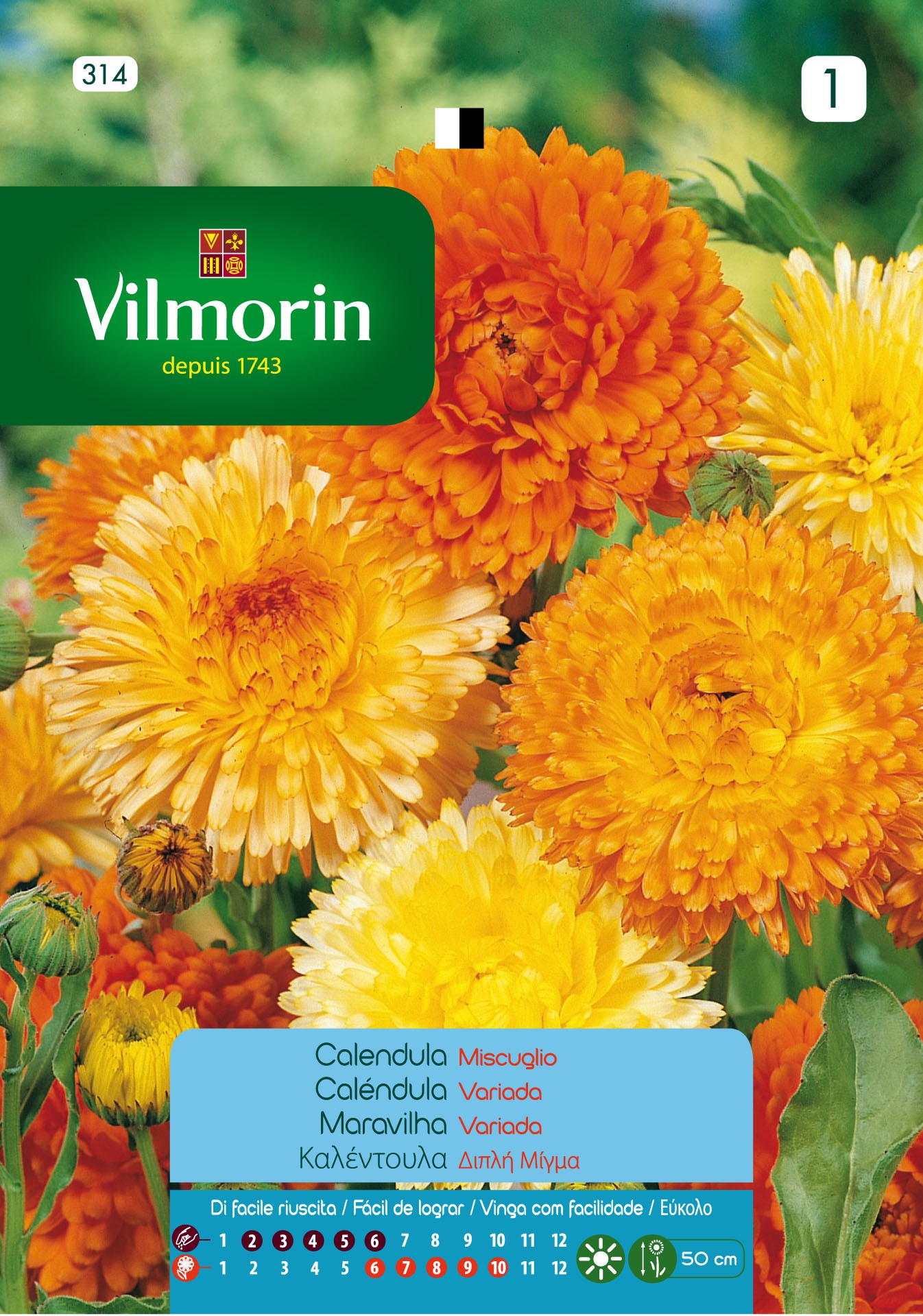 Semillas flores VILMORIN SEMILLAS CALENDULA VARIADA | Mundo Verde/Garden  Center