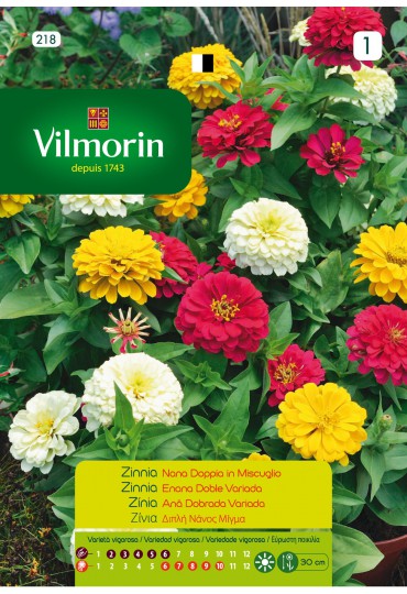 VILMORIN SEMILLAS ZINNIA ENANA DOBLE