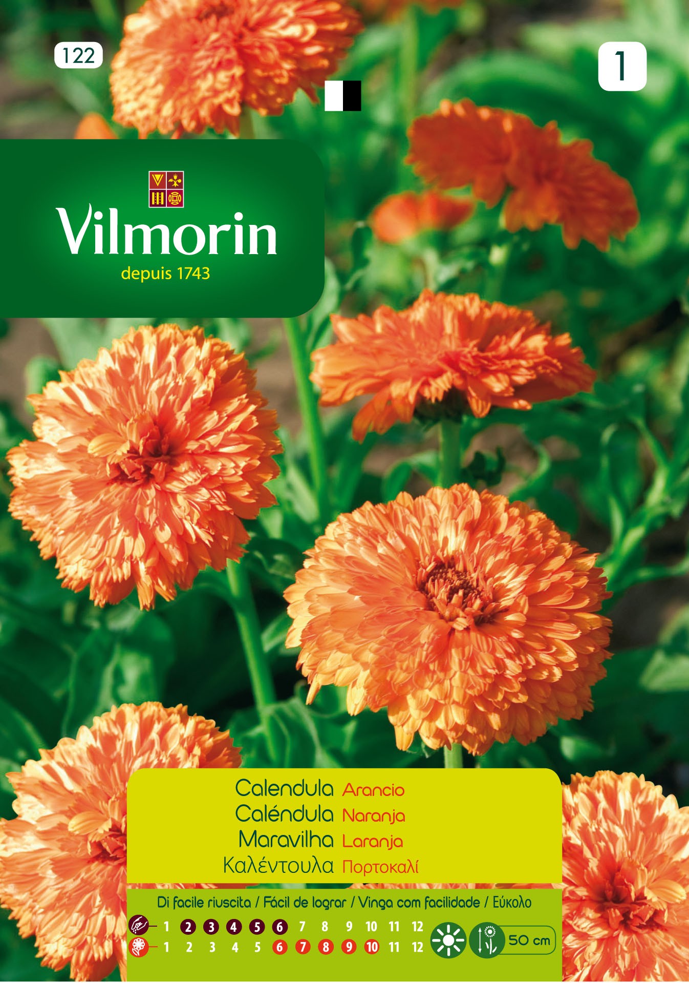 Semillas flores VILMORIN SEMILLAS CALENDULA NARANJA | Mundo Verde/Garden  Center