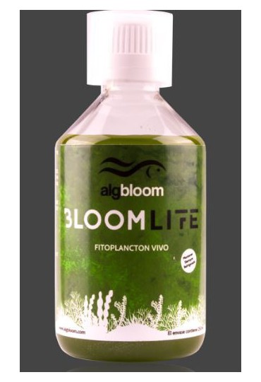 ALGBLOOM BLOOM LIFE FITOPLACTON