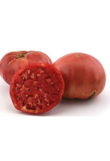 Tomate Rosa