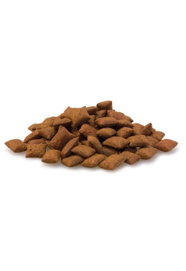 CAT MALT BITS 40GR