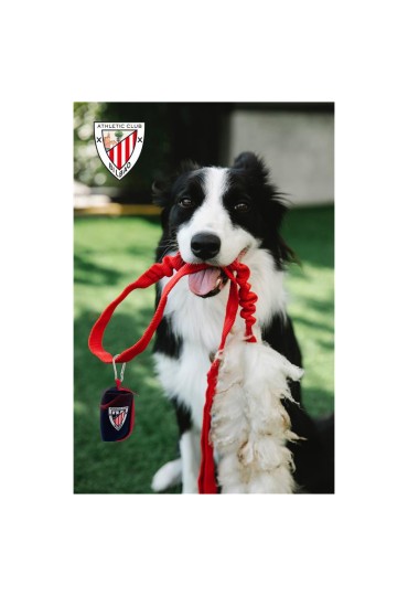 Dispensador De Bolsas Athletic Club